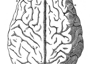 AUTOCUIDADO E HIGIENE PSICOLÓGICA ANTE EL CORONA VIRUS